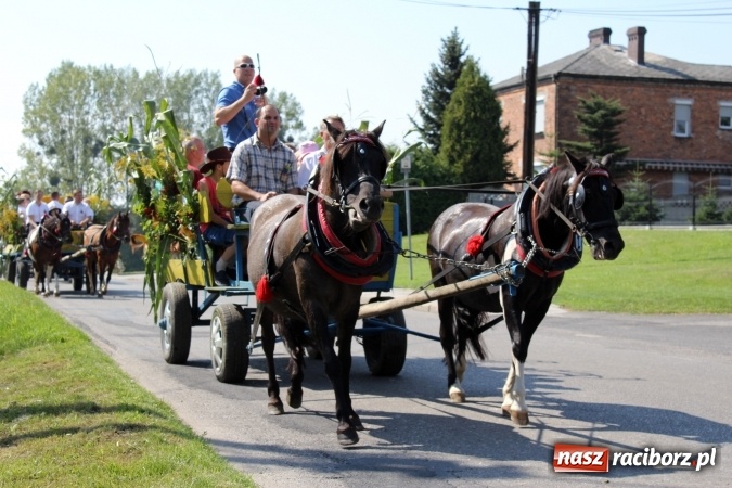Zdjęcie w galerii na portalu naszraciborz.pl: Dożynki 2016. Korowód gigant w Kornowacu  wiadomości z regionu