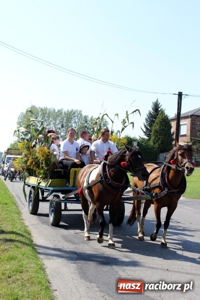 Zdjęcie w galerii na portalu naszraciborz.pl: Dożynki 2016. Korowód gigant w Kornowacu  wiadomości z regionu