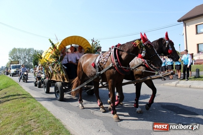 Zdjęcie w galerii na portalu naszraciborz.pl: Dożynki 2016. Korowód gigant w Kornowacu  wiadomości z regionu