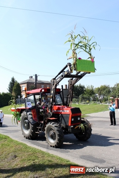 Zdjęcie w galerii na portalu naszraciborz.pl: Dożynki 2016. Korowód gigant w Kornowacu  wiadomości z regionu