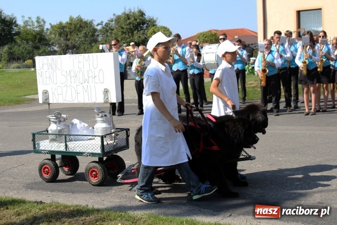 Zdjęcie w galerii na portalu naszraciborz.pl: Dożynki 2016. Korowód gigant w Kornowacu  wiadomości z regionu