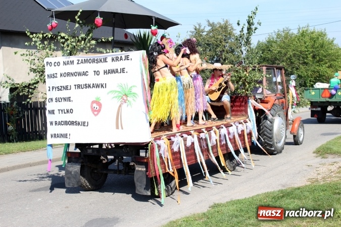 Zdjęcie w galerii na portalu naszraciborz.pl: Dożynki 2016. Korowód gigant w Kornowacu  wiadomości z regionu