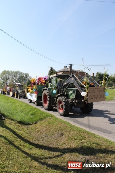 Zdjęcie w galerii na portalu naszraciborz.pl: Dożynki 2016. Korowód gigant w Kornowacu  wiadomości z regionu
