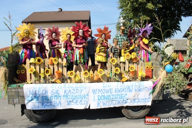 Zdjęcie w galerii na portalu naszraciborz.pl: Dożynki 2016. Korowód gigant w Kornowacu  wiadomości z regionu