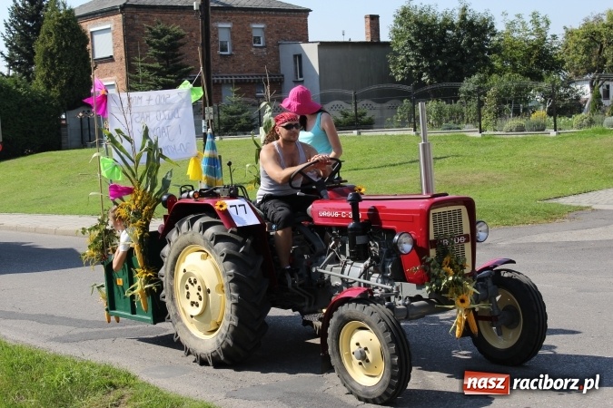 Zdjęcie w galerii na portalu naszraciborz.pl: Dożynki 2016. Korowód gigant w Kornowacu  wiadomości z regionu