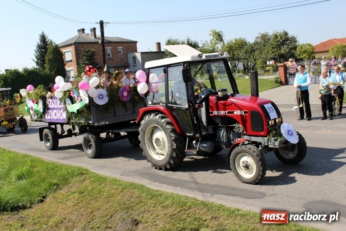 Zdjęcie w galerii na portalu naszraciborz.pl: Dożynki 2016. Korowód gigant w Kornowacu  wiadomości z regionu
