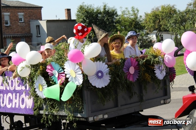 Zdjęcie w galerii na portalu naszraciborz.pl: Dożynki 2016. Korowód gigant w Kornowacu  wiadomości z regionu