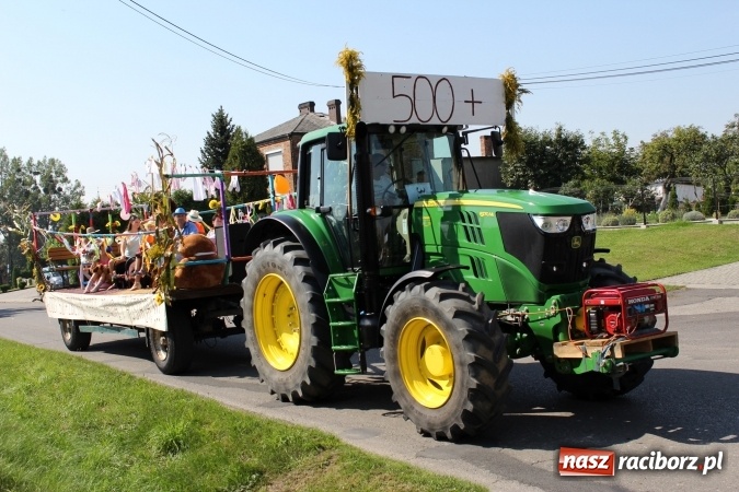 Zdjęcie w galerii na portalu naszraciborz.pl: Dożynki 2016. Korowód gigant w Kornowacu  wiadomości z regionu