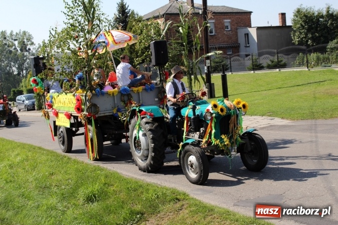 Zdjęcie w galerii na portalu naszraciborz.pl: Dożynki 2016. Korowód gigant w Kornowacu  wiadomości z regionu