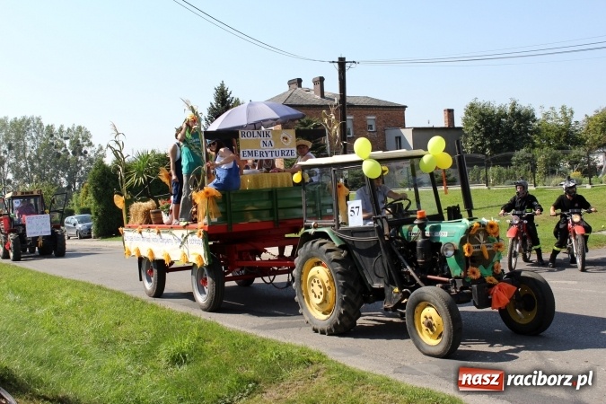 Zdjęcie w galerii na portalu naszraciborz.pl: Dożynki 2016. Korowód gigant w Kornowacu  wiadomości z regionu