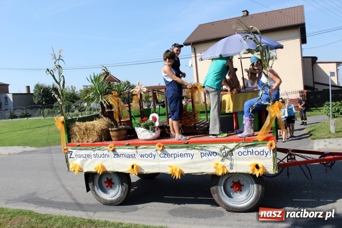 Zdjęcie w galerii na portalu naszraciborz.pl: Dożynki 2016. Korowód gigant w Kornowacu  wiadomości z regionu