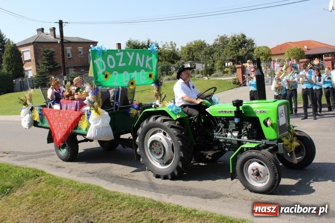 Zdjęcie w galerii na portalu naszraciborz.pl: Dożynki 2016. Korowód gigant w Kornowacu  wiadomości z regionu