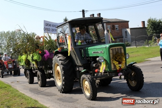 Zdjęcie w galerii na portalu naszraciborz.pl: Dożynki 2016. Korowód gigant w Kornowacu  wiadomości z regionu