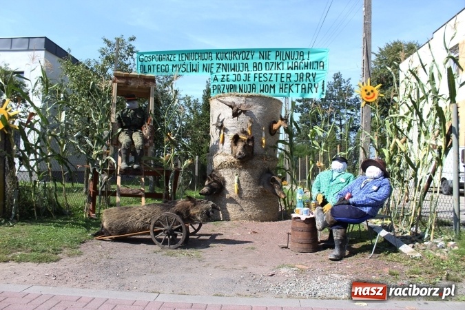 Zdjęcie w galerii na portalu naszraciborz.pl: Dożynki 2016. Korowód gigant w Kornowacu  wiadomości z regionu