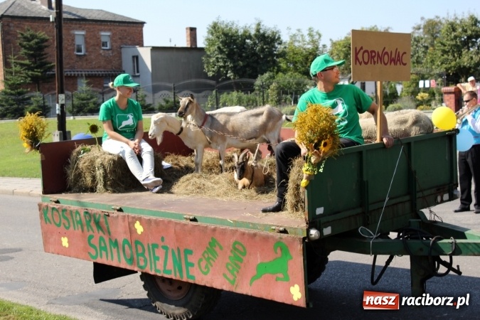 Zdjęcie w galerii na portalu naszraciborz.pl: Dożynki 2016. Korowód gigant w Kornowacu  wiadomości z regionu