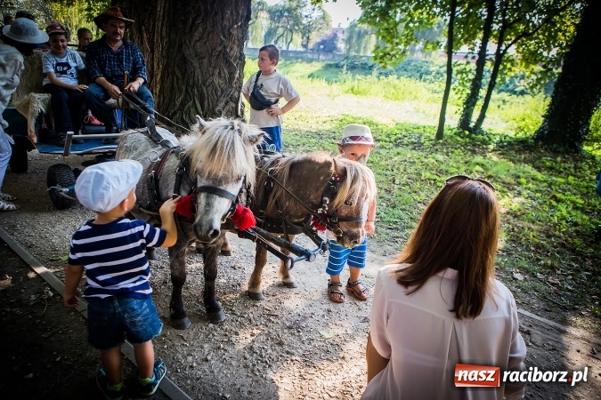 Zdjęcie w galerii na portalu naszraciborz.pl: IV Bajkowy Park. Zapełniliśmy bulwary z plażą. Dziękujemy serdecznie za wspólną zabawę wiadomości z regionu