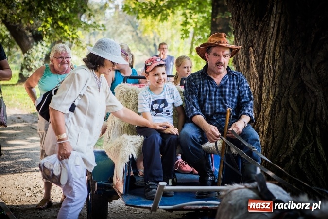 Zdjęcie w galerii na portalu naszraciborz.pl: IV Bajkowy Park. Zapełniliśmy bulwary z plażą. Dziękujemy serdecznie za wspólną zabawę wiadomości z regionu