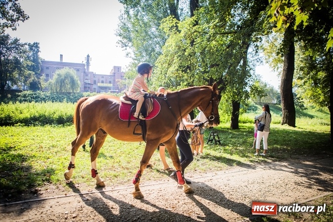 Zdjęcie w galerii na portalu naszraciborz.pl: IV Bajkowy Park. Zapełniliśmy bulwary z plażą. Dziękujemy serdecznie za wspólną zabawę wiadomości z regionu