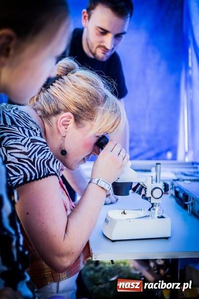 Zdjęcie w galerii na portalu naszraciborz.pl: IV Bajkowy Park. Zapełniliśmy bulwary z plażą. Dziękujemy serdecznie za wspólną zabawę wiadomości z regionu