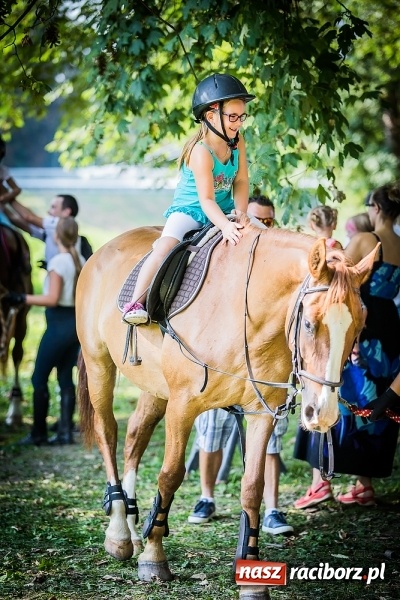 Zdjęcie w galerii na portalu naszraciborz.pl: IV Bajkowy Park. Zapełniliśmy bulwary z plażą. Dziękujemy serdecznie za wspólną zabawę wiadomości z regionu