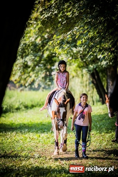 Zdjęcie w galerii na portalu naszraciborz.pl: IV Bajkowy Park. Zapełniliśmy bulwary z plażą. Dziękujemy serdecznie za wspólną zabawę wiadomości z regionu