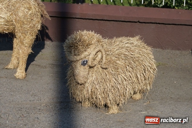 Zdjęcie w galerii na portalu naszraciborz.pl: Barwnie na dożynkach parafialnych w Zawadzie Książęcej wiadomości z regionu