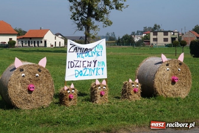 Zdjęcie w galerii na portalu naszraciborz.pl: Barwnie na dożynkach parafialnych w Zawadzie Książęcej wiadomości z regionu