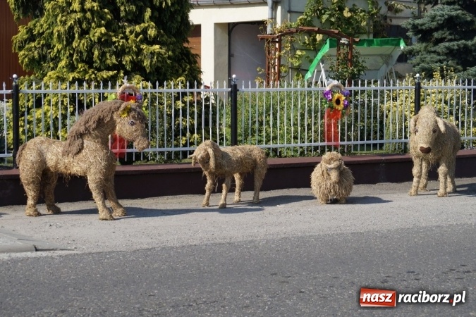 Zdjęcie w galerii na portalu naszraciborz.pl: Barwnie na dożynkach parafialnych w Zawadzie Książęcej wiadomości z regionu