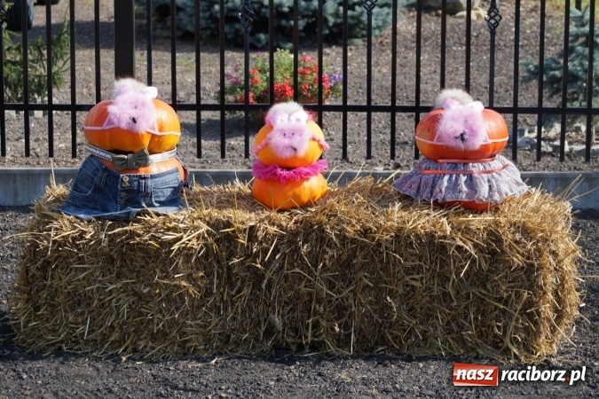 Zdjęcie w galerii na portalu naszraciborz.pl: Barwnie na dożynkach parafialnych w Zawadzie Książęcej wiadomości z regionu