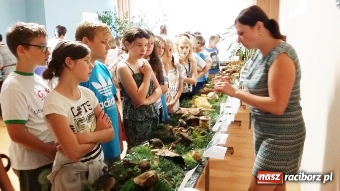Zdjęcie w galerii na portalu naszraciborz.pl: Uczniowie SP 4 na wystawie na temat grzybów wiadomości z regionu