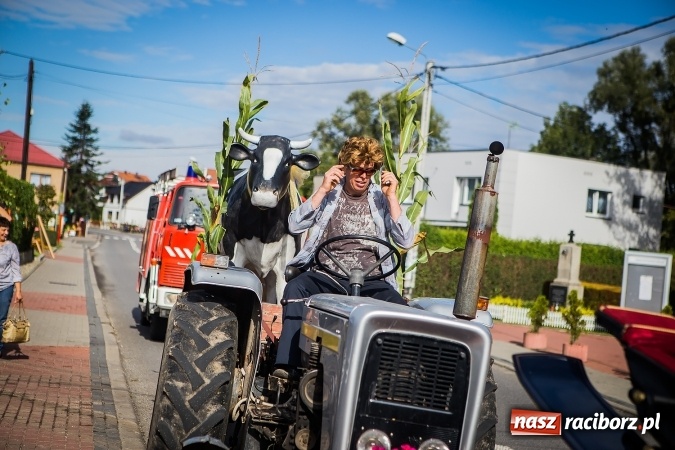 Zdjęcie w galerii na portalu naszraciborz.pl: Dożynki 2016. Pawłów dziękuje za tegoroczne plony wiadomości z regionu