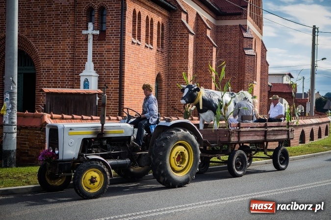 Zdjęcie w galerii na portalu naszraciborz.pl: Dożynki 2016. Pawłów dziękuje za tegoroczne plony wiadomości z regionu
