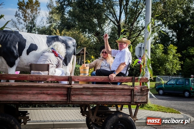 Zdjęcie w galerii na portalu naszraciborz.pl: Dożynki 2016. Pawłów dziękuje za tegoroczne plony wiadomości z regionu
