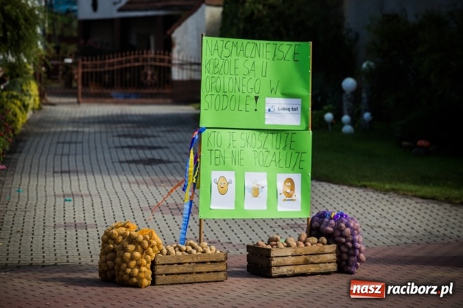 Zdjęcie w galerii na portalu naszraciborz.pl: Dożynki 2016. Pawłów dziękuje za tegoroczne plony wiadomości z regionu