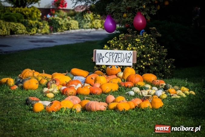 Zdjęcie w galerii na portalu naszraciborz.pl: Dożynki 2016. Pawłów dziękuje za tegoroczne plony wiadomości z regionu
