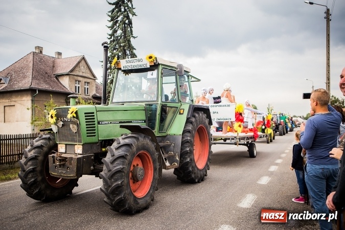 Zdjęcie w galerii na portalu naszraciborz.pl: Niebo łaskawe dla Zabełkowa. Dożynki gminy Krzyżanowice FOTOREPORTAŻ wiadomości z regionu