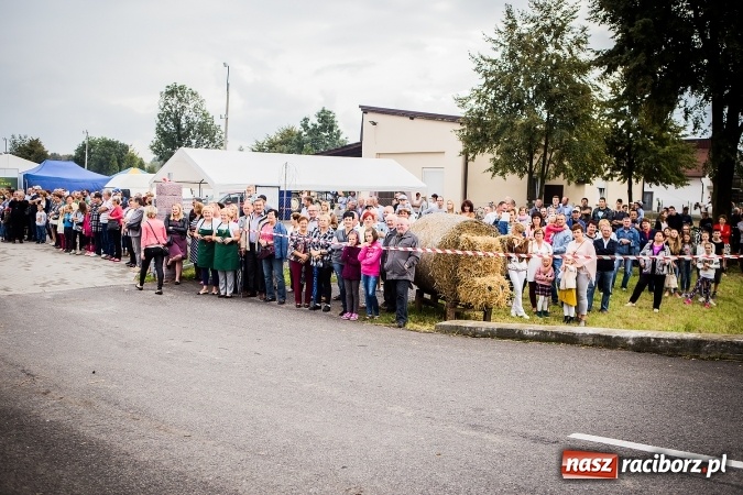 Zdjęcie w galerii na portalu naszraciborz.pl: Niebo łaskawe dla Zabełkowa. Dożynki gminy Krzyżanowice FOTOREPORTAŻ wiadomości z regionu