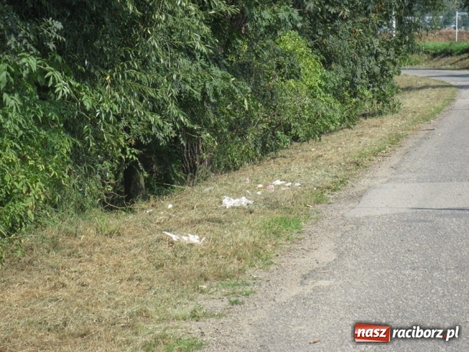 Zdjęcie w galerii na portalu naszraciborz.pl: Gimnazjalna ekipa sprzątająca z Tworkowa wysprzątała wieś wiadomości z regionu