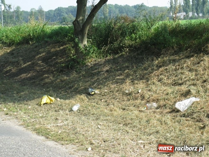 Zdjęcie w galerii na portalu naszraciborz.pl: Gimnazjalna ekipa sprzątająca z Tworkowa wysprzątała wieś wiadomości z regionu