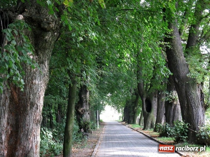 Zdjęcie w galerii na portalu naszraciborz.pl: Gimnazjalna ekipa sprzątająca z Tworkowa wysprzątała wieś wiadomości z regionu