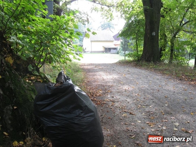 Zdjęcie w galerii na portalu naszraciborz.pl: Gimnazjalna ekipa sprzątająca z Tworkowa wysprzątała wieś wiadomości z regionu