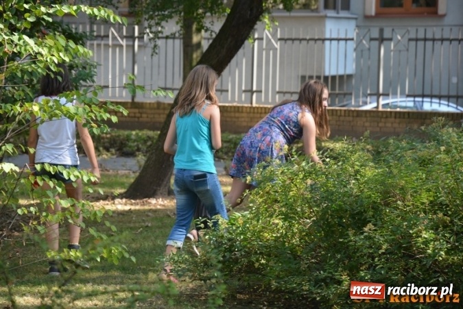 Zdjęcie w galerii na portalu naszraciborz.pl: Uczniowie SP 4 po raz kolejny włączyli się w akcję Sprzątanie świata wiadomości z regionu