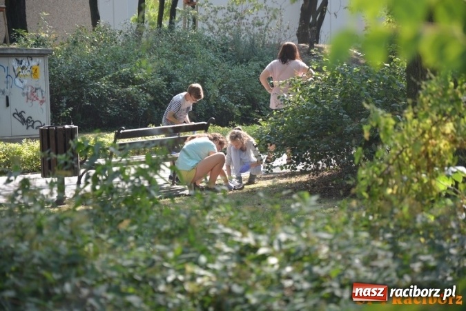 Zdjęcie w galerii na portalu naszraciborz.pl: Uczniowie SP 4 po raz kolejny włączyli się w akcję Sprzątanie świata wiadomości z regionu