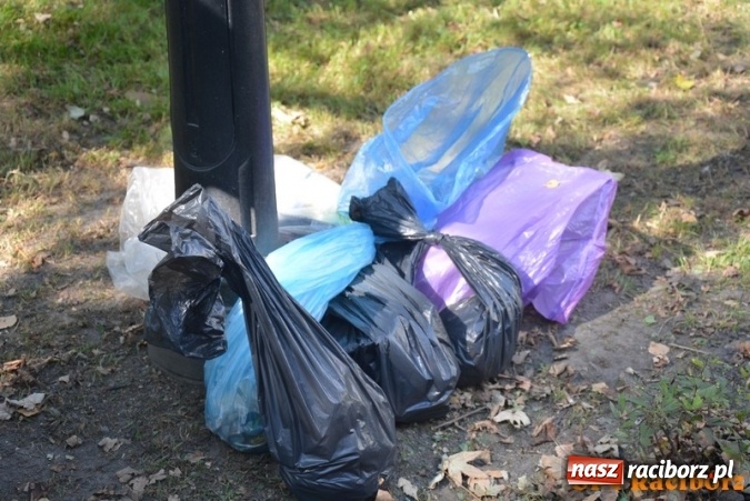 Zdjęcie w galerii na portalu naszraciborz.pl: Uczniowie SP 4 po raz kolejny włączyli się w akcję Sprzątanie świata wiadomości z regionu