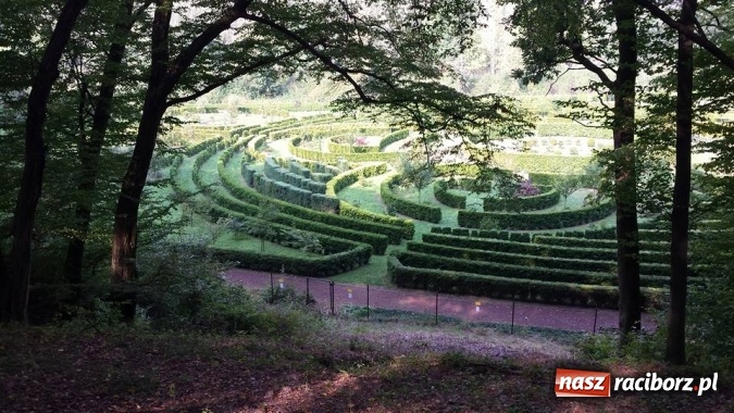 Zdjęcie w galerii na portalu naszraciborz.pl: Gimnazjum nr 5 sprzątało świat wiadomości z regionu