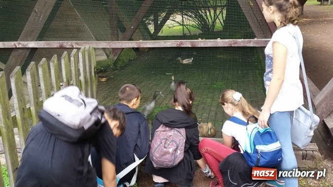 Zdjęcie w galerii na portalu naszraciborz.pl: Gimnazjum nr 5 sprzątało świat wiadomości z regionu