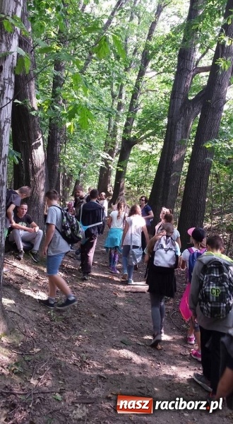 Zdjęcie w galerii na portalu naszraciborz.pl: Gimnazjum nr 5 sprzątało świat wiadomości z regionu