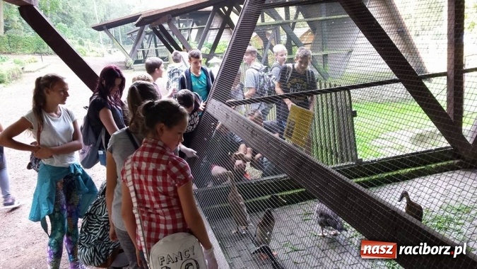 Zdjęcie w galerii na portalu naszraciborz.pl: Gimnazjum nr 5 sprzątało świat wiadomości z regionu