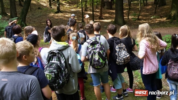 Zdjęcie w galerii na portalu naszraciborz.pl: Gimnazjum nr 5 sprzątało świat wiadomości z regionu