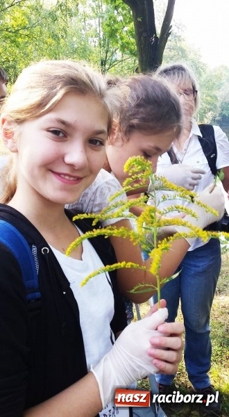 Zdjęcie w galerii na portalu naszraciborz.pl: Gimnazjum nr 5 sprzątało świat wiadomości z regionu